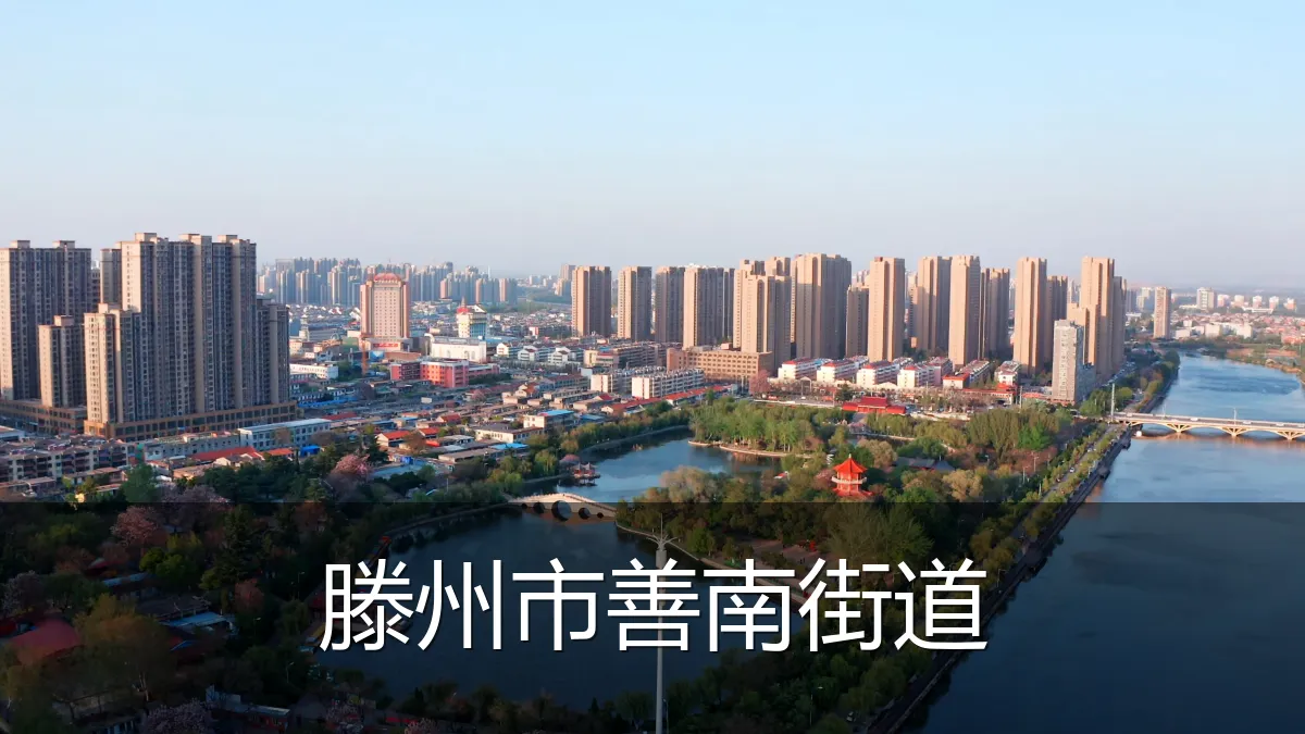 滕州市善南街道