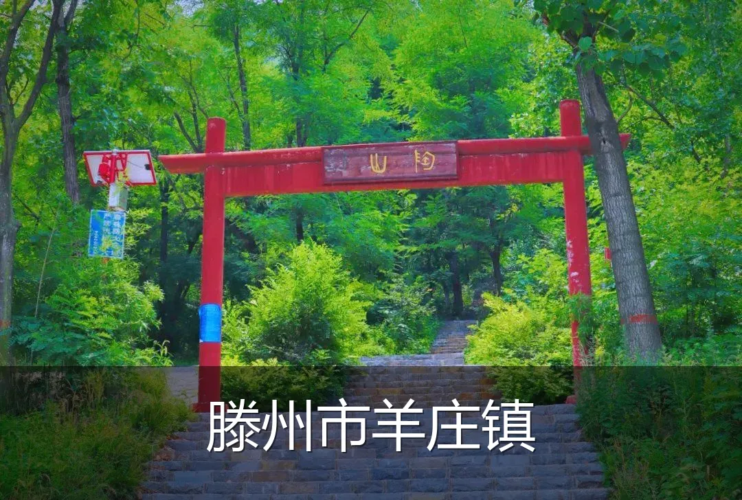滕州市羊庄镇